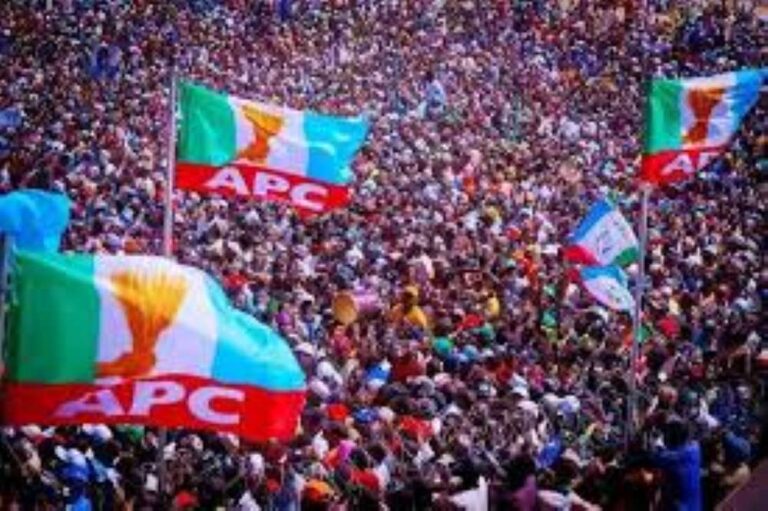 apc rally