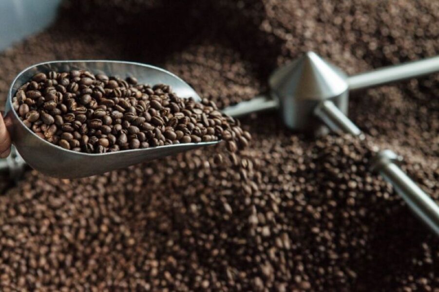 coffee processing
