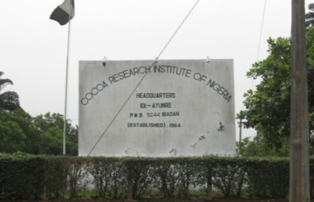 cocoa research institute