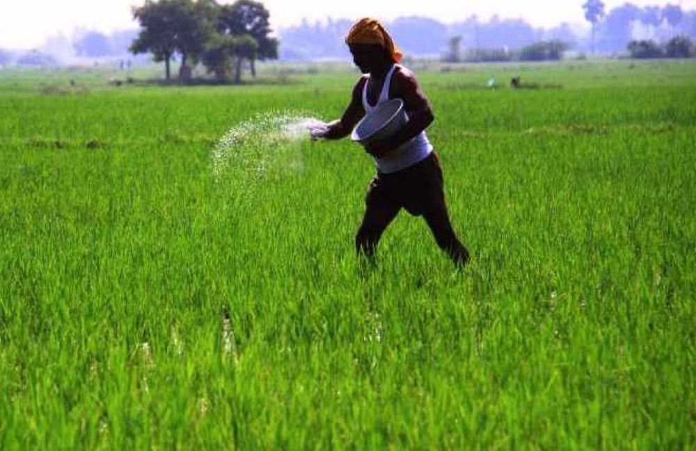 farmer applying fertiliser
