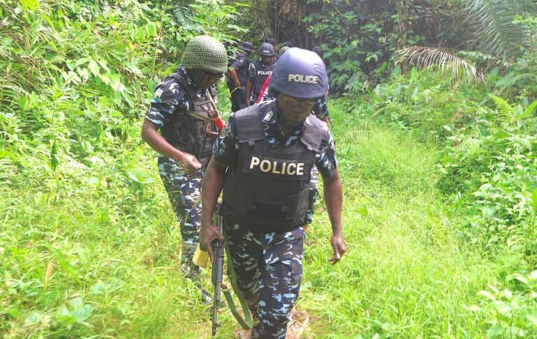 police scanning the bush