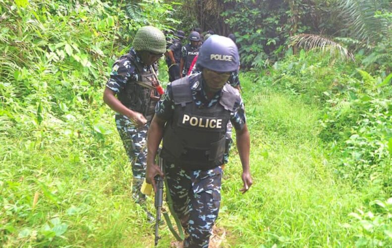 police scanning the bush