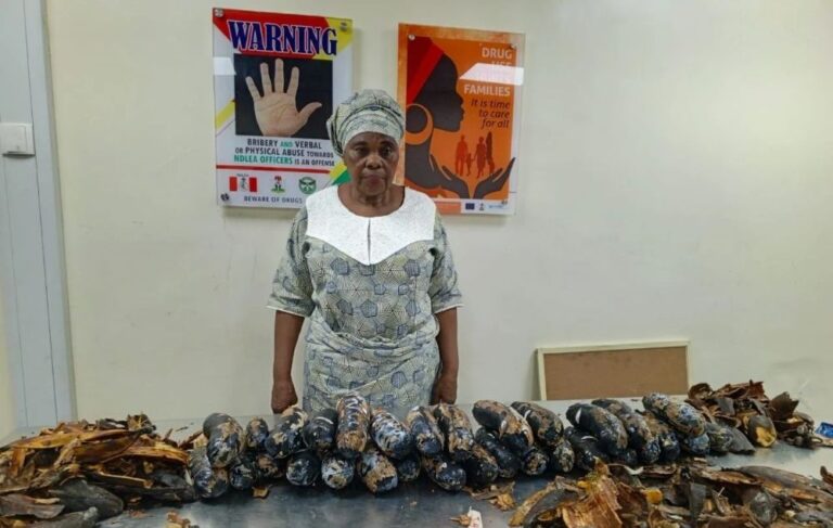 grandma drug suspect