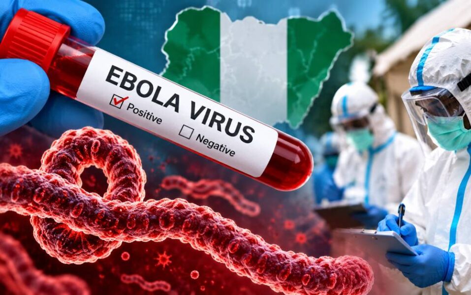 A hand holding a positive Ebola virus test tube.
